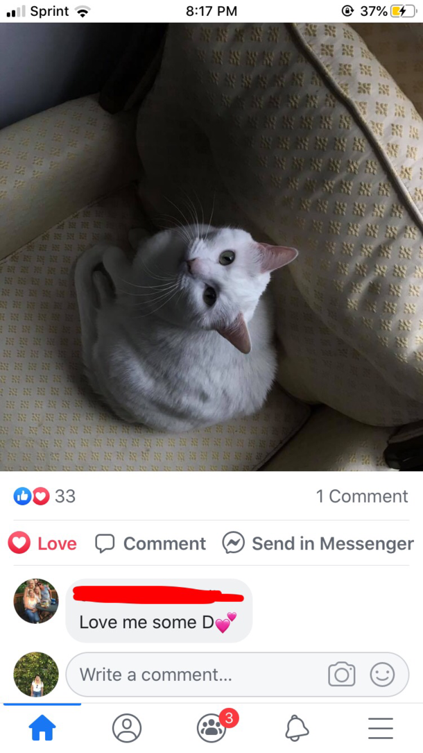 My mom commenting about my sisters cat named Dharma