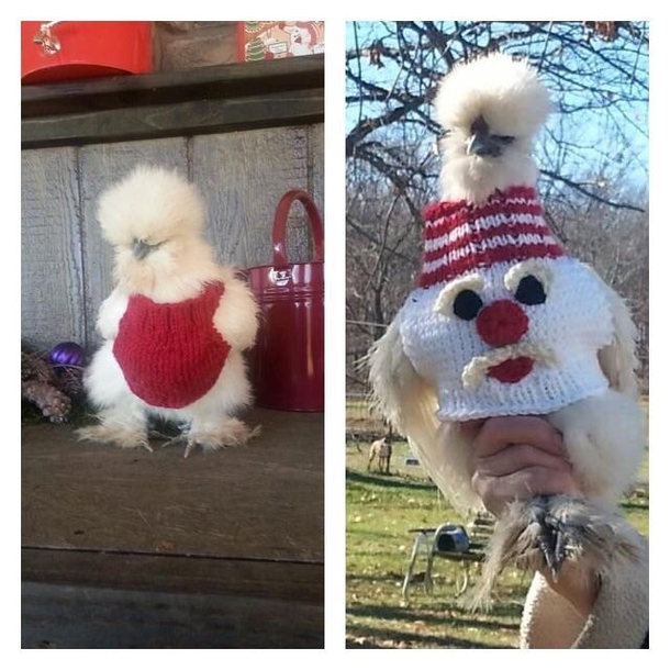 My mom has some unusual hobbies