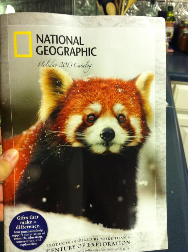 My mom is obsessed with foxes lately She was so excited when she texted me this saying Look who showed up on the cover of National Geographic Close enough Ma