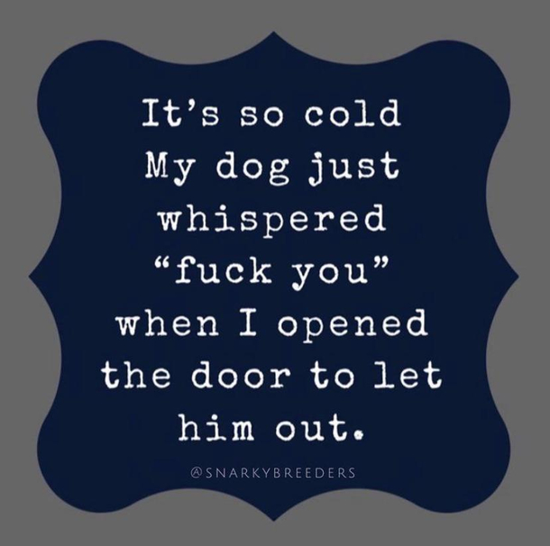 My mom just sent me this cracked me up