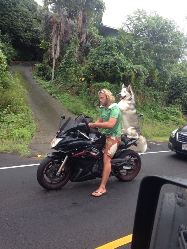 My mom sent me this picture from Hawaii