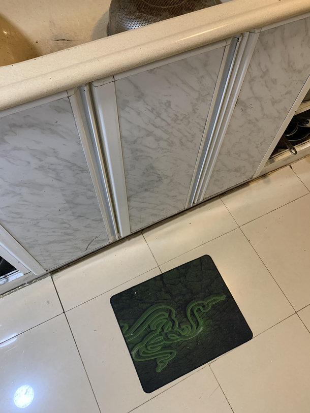 My mom turned my mouse pad into a kitchen mat
