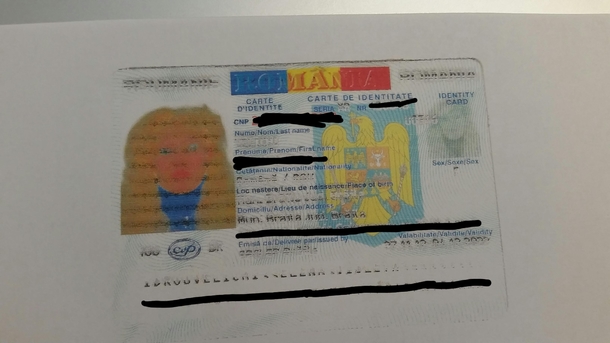 My mother needed a copy of her ID card and I tried to print one out for her but the printer was low on ink