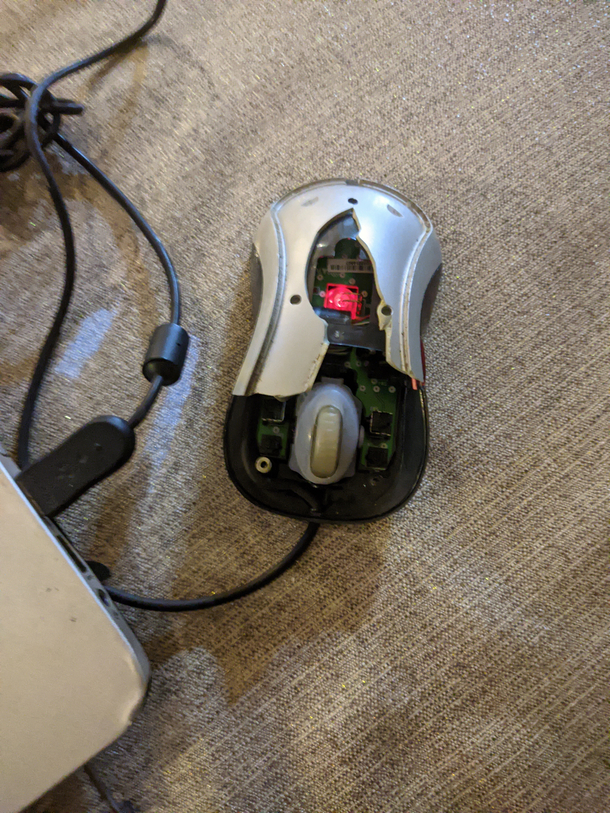 My mouse has joined Skynet