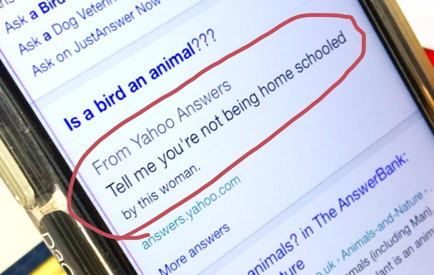 My mum tried to tell me Birds werent animals this is what the internet said