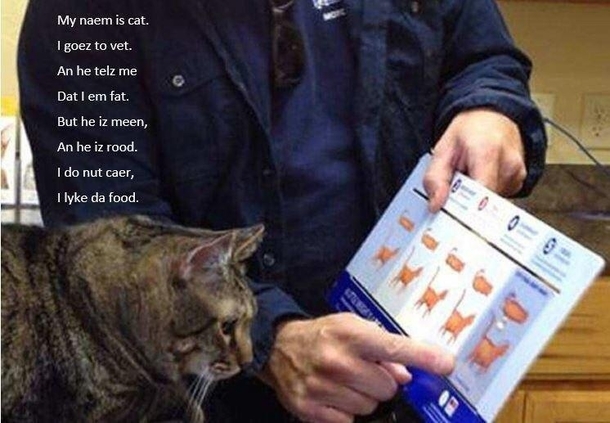 My naem is cat 
