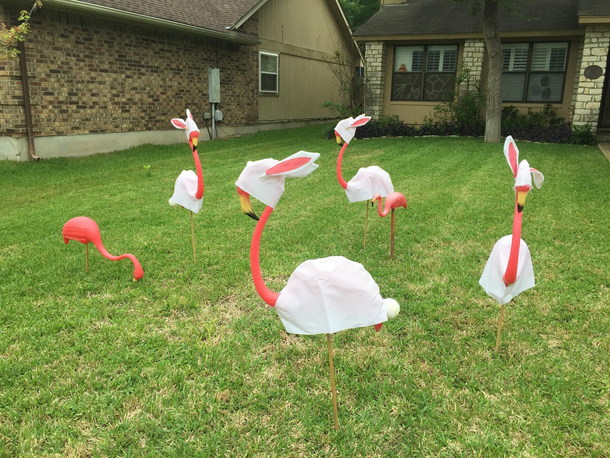 My neighbor couldnt make it to the store for bunny decorations so they decided to use what they had available
