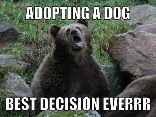 My neighbor is home maybe  hours per day The other  her dog is howling like its dying in pain