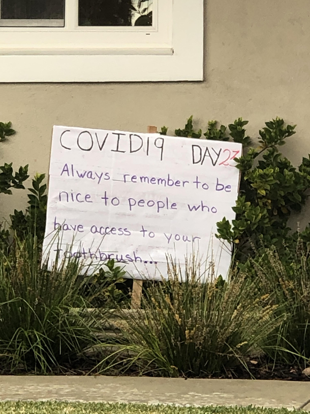 My neighbors front lawn dad joke 