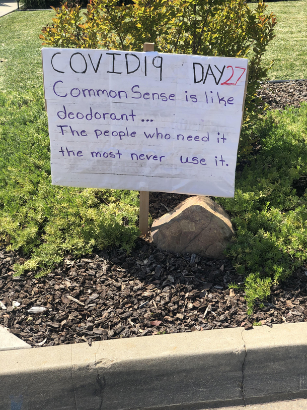 My neighbors front lawn dad joke 