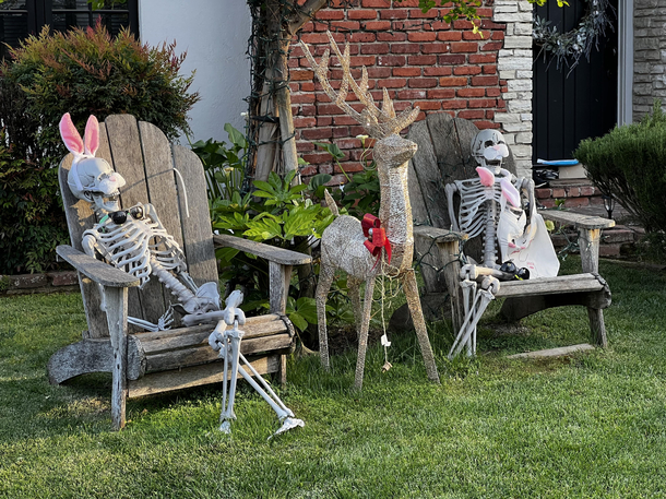 My neighbors only need to decorate once