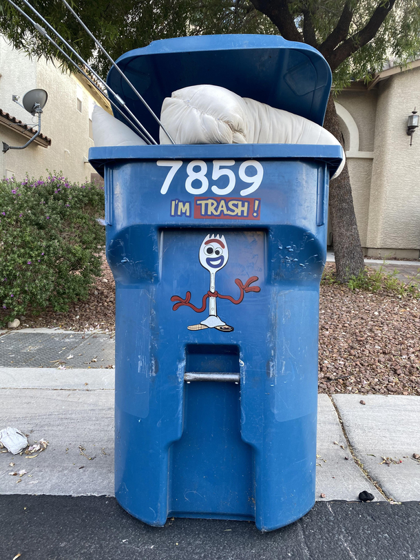 My neighbors trash bin