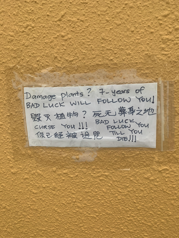 My neighbour is fed up Its a scary world out there