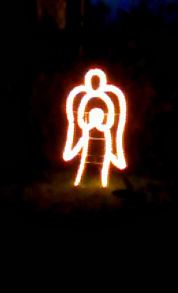 My neighbours beautiful Christmas angel - Phallus Navidad