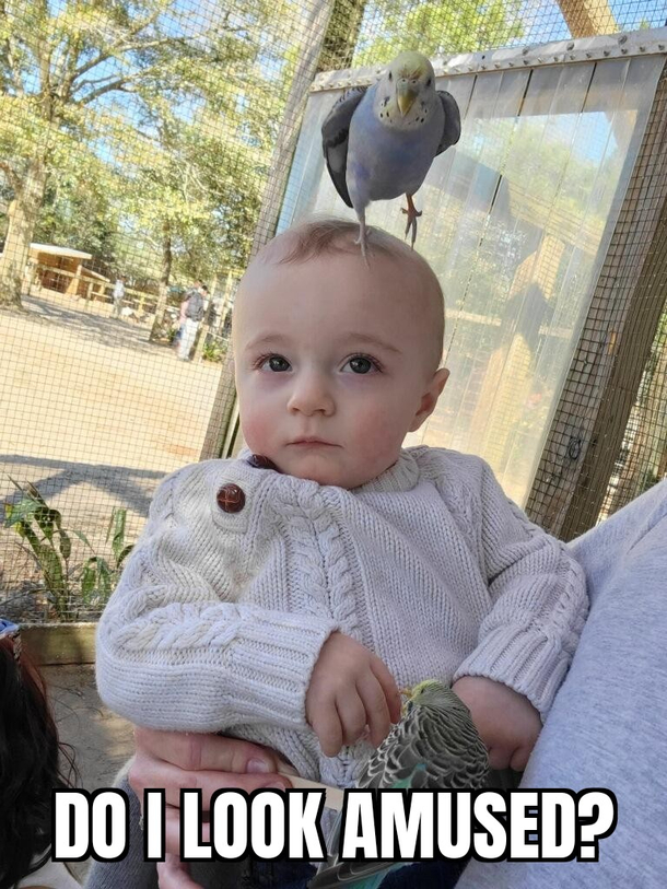 My nephew at a petting zoo Its his first birthday today