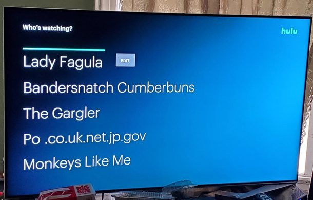 My nephew leaves his PS in  and left his Hulu app open while he went out My wife added some profiles for fun
