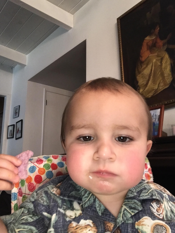My Nephew looks like an  month old and a  year old insurance salesman at the same time