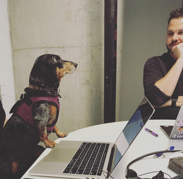 My new boss is a real bitch