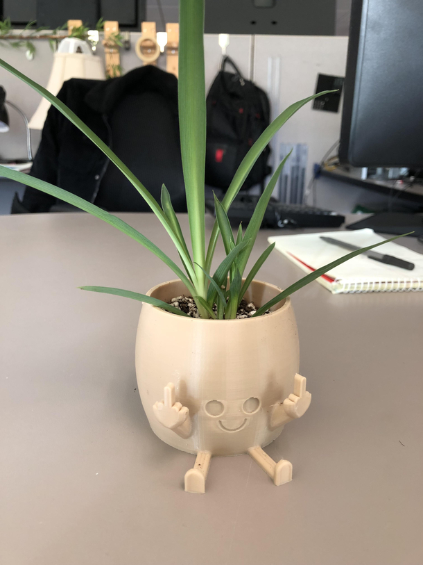 My New Cubicle Greeter