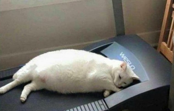 My new years resolution today