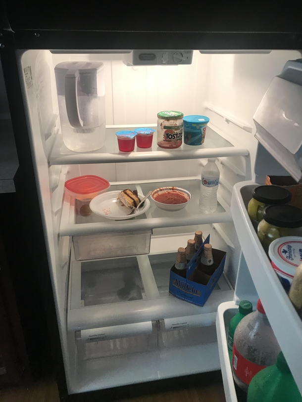 My newly divorced brothers fridge