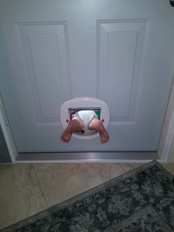My niece discovered the cat door today