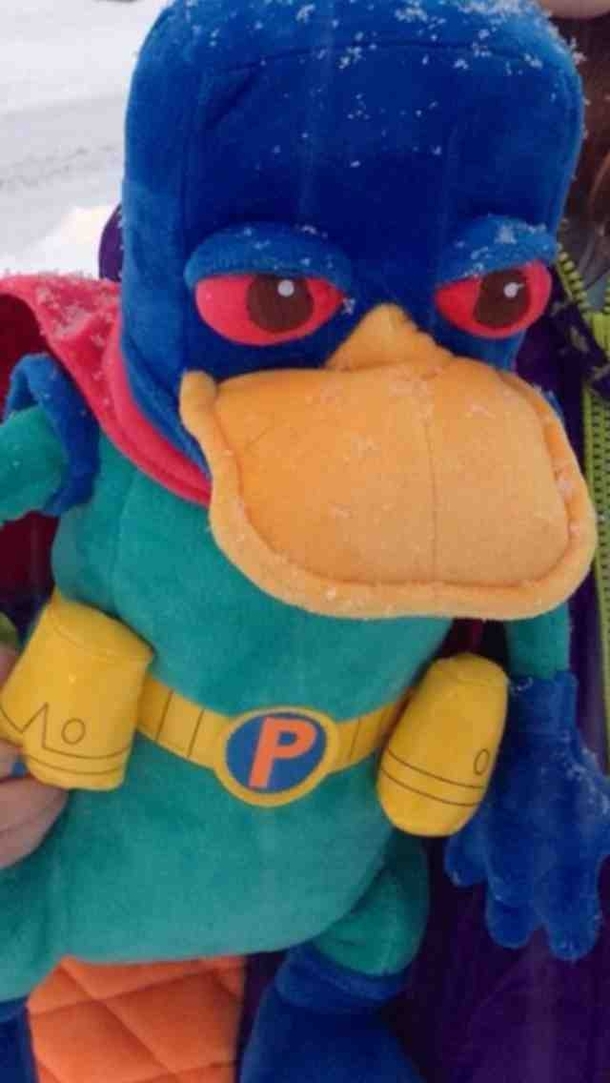 My nieces platypus looks high