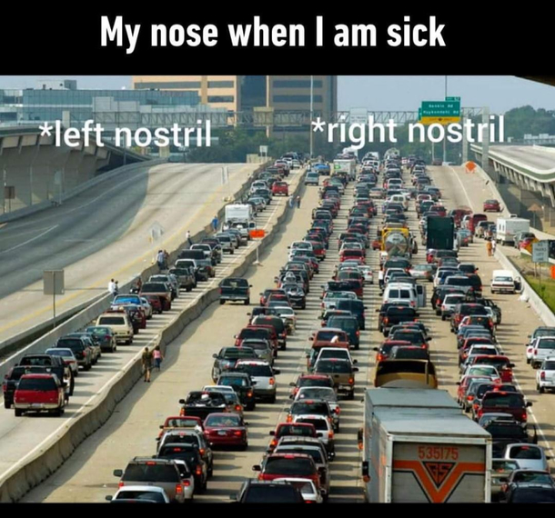 My nose is useless atm