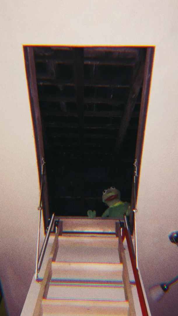 My partner is putting her Kermit puppet to good use