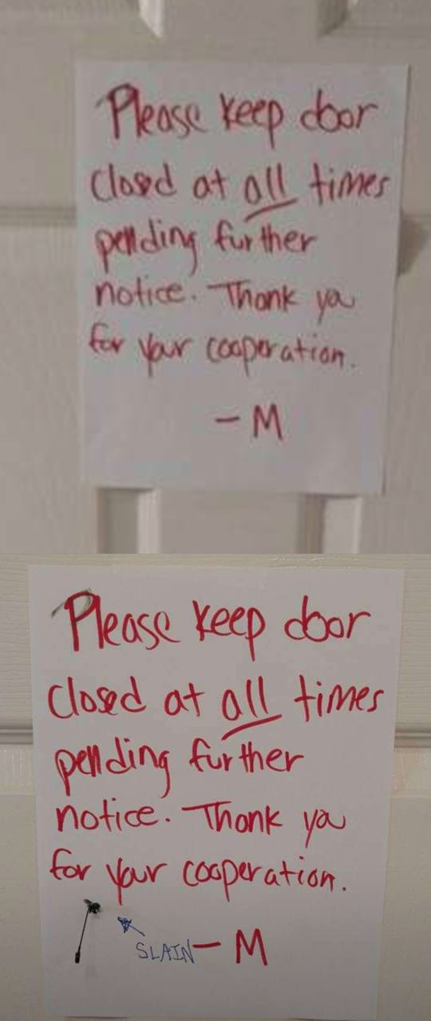 My partner left a note on the door after she saw a cuckoo wasp in the place I took care of it