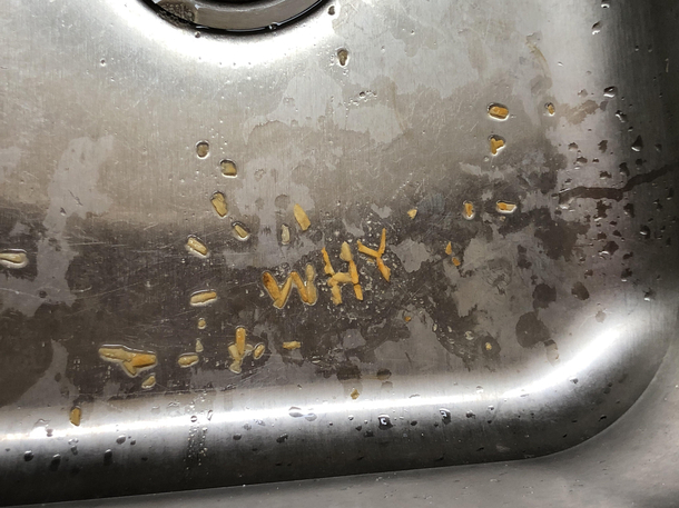 My partner left potato chip crumbs in the sink last night so I sent him this