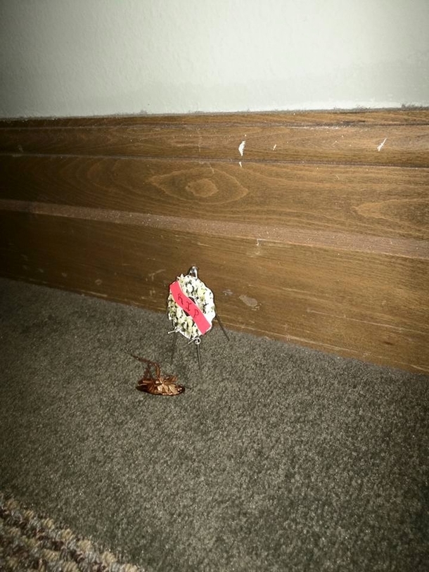 My passive-aggressive way to make our cleaning crew at work vacuum up this dead roach that has been sitting in the hall for a month