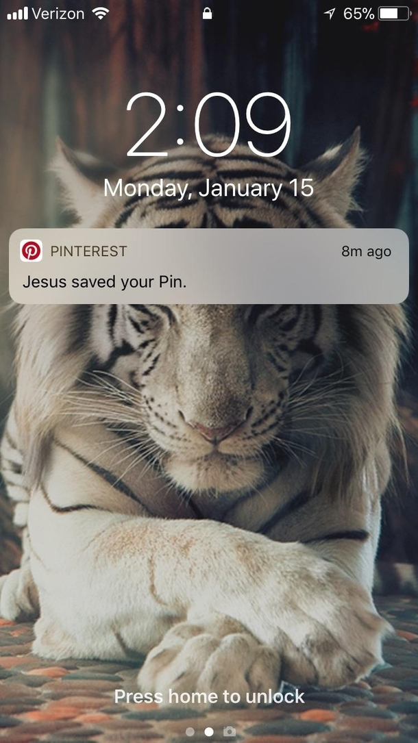 My pins have been forgiven