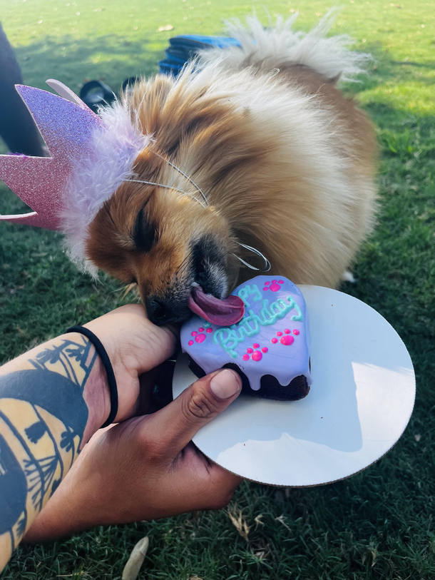 My pom really loved her birthday cake