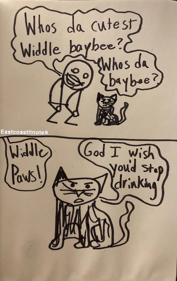My poor kitties