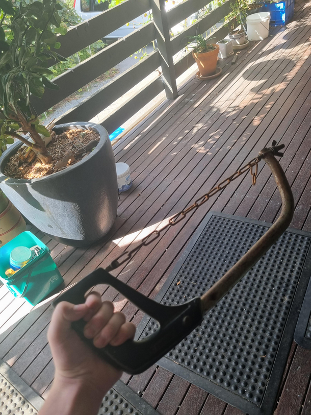My pop told me he had a nice chainsaw outside so I checked it out