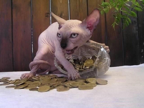 My precious