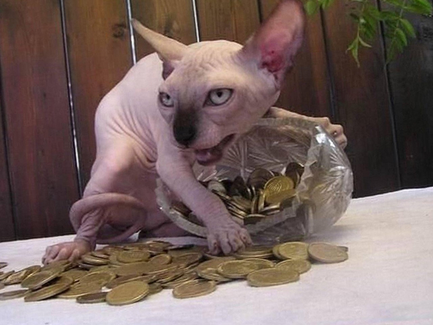 My precious