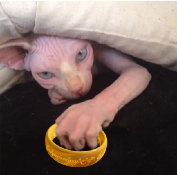 My precioussss