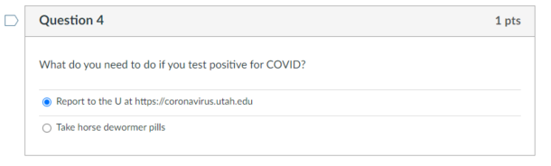 My professor has got the right idea