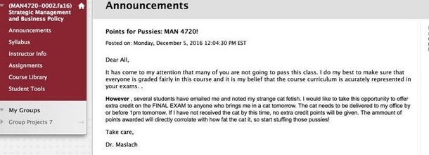 My professor has let his cat obsession become wildly inappropriate