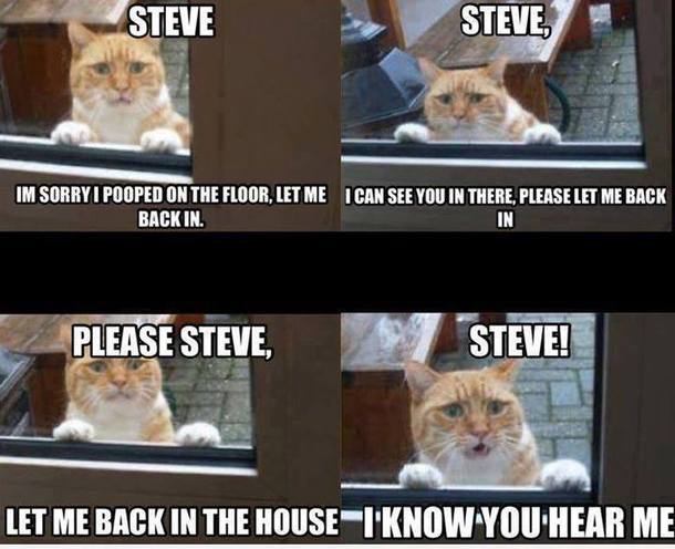 My professor uploaded this