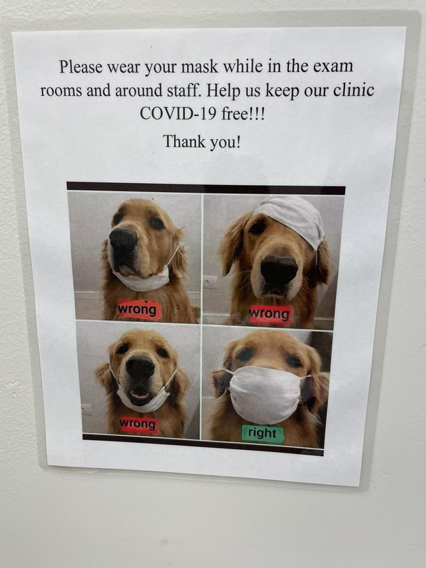 My puppys vet is cool