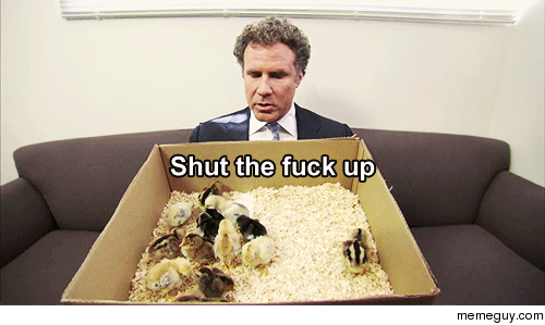 My reaction to the fucking birds chirping outside my window at  in the morning