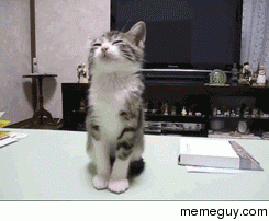 My reaction when im shoping with my girlfriend just after working  straight hours