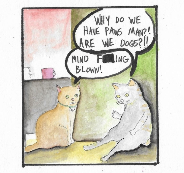 My roommate drew a cartoon about my cats coming home from the vet on drugs