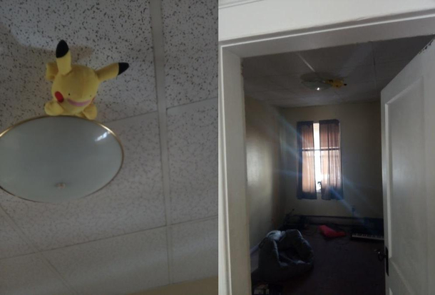my Roommate put a DittoPikachu hidden in my room i returned it to him