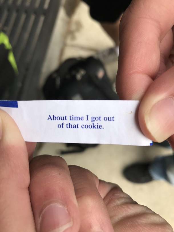 My school has the best fortunes