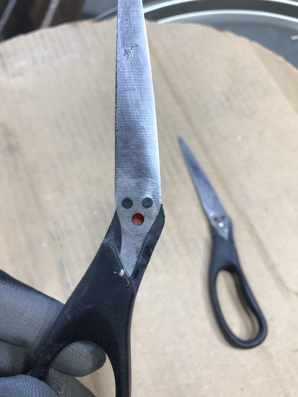 My scissors broke They were just as surprised as I was
