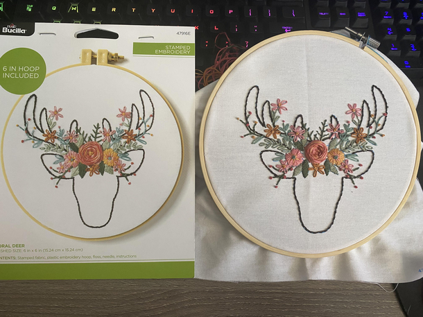 My second embroidery project I think I was fairly close